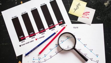 business dynamics transformation globally