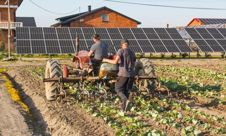 technological growth significance examined