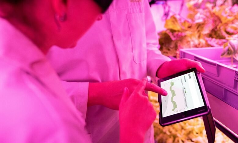 digital growth support tools